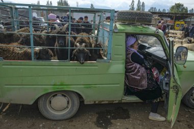 Kochkor, Kırgızistan - 30 Eylül 2023: Kochkor, Kırgızistan 'da haftalık Pazar hayvan pazarı.