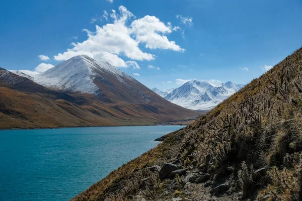 Blick Auf Den Kol Ukok See Der Naryn Region Der lizenzfreie Stockbilder