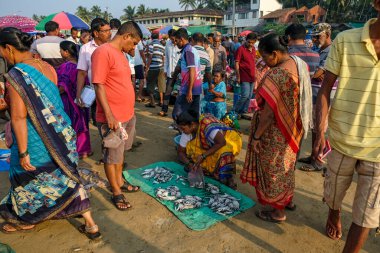 Malvan, Hindistan - 7 Şubat 2024: Hindistan 'ın Maharashtra kentindeki Malvan balık pazarında balık satan kadınlar.