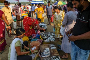 Malvan, Hindistan - 7 Şubat 2024: Hindistan 'ın Maharashtra kentindeki Malvan balık pazarında balık satan kadınlar.