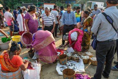 Malvan, Hindistan - 7 Şubat 2024: İnsanlar Maharashtra, Hindistan 'daki Malvan balık pazarında balık satıyor.