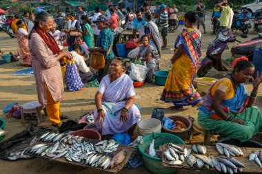 Malvan, Hindistan - 7 Şubat 2024: İnsanlar Maharashtra, Hindistan 'daki Malvan balık pazarında balık satıyor.