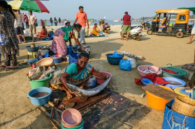 Malvan, Hindistan - 7 Şubat 2024: Hindistan 'ın Maharashtra kentindeki Malvan balık pazarında balık satan kadınlar.
