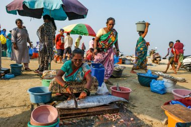 Malvan, Hindistan - 7 Şubat 2024: Hindistan 'ın Maharashtra kentindeki Malvan balık pazarında balık satan kadınlar.