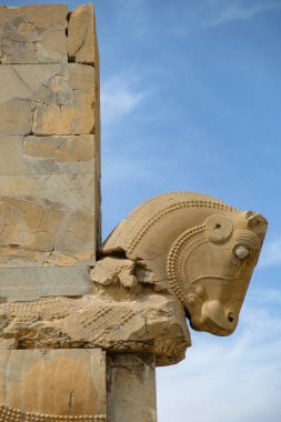 Marvdsaht, İran - 18 Mart 2024: İran 'ın Fars ilinin Şiraz kenti yakınlarındaki Persepolis harabelerinde bir at heykeli.