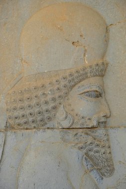 Marvdsaht, İran - 18 Mart 2024: İran 'ın Fars ilinin Şiraz kenti yakınlarındaki Persepolis harabelerinde yardım.