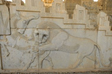 Marvdsaht, İran - 18 Mart 2024: İran 'ın Fars ilinin Şiraz kenti yakınlarındaki Persepolis harabelerinde yardım.