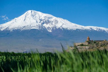 Lusarat, Ermenistan - 18 Mayıs 2024: Ararat Dağı 'nın arka planında Khor Virap Manastırı, Ermenistan' ın Lusarat Ovası 'nda yer alan manastır.