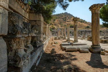 Secluk, Türkiye - 30 Ağustos 2024: Türkiye 'nin Selcuk kentindeki Antik Efes kentinin kalıntılarındaki Aşağı Agora.