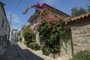 Ayvalik, Türkiye - 3 Eylül 2024: Türkiye 'de Ege Denizi kıyısında Ayvalik' te bir sokak görüntüsü.