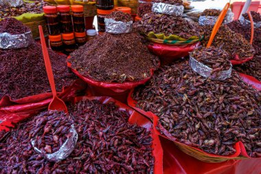 Oaxaca de Juarez, Meksika - 3 Mart 2025: Oaxaca de Juarez, Meksika 'daki Benito Juarez Pazarı' ndaki Chapulines veya çekirge standı.