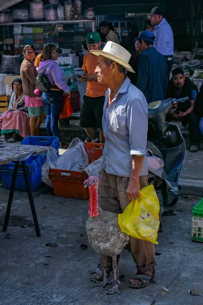 Ocotlan de Morelos, Meksika - 28 Şubat 2025: Oaxaca, Meksika 'daki Ocotlan de Morelos pazarında hindi satan bir adam.