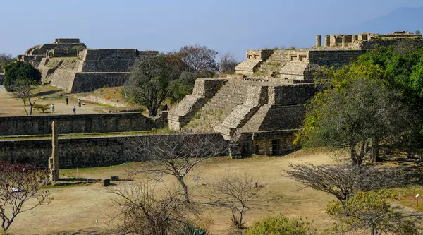 Oaxaca, Meksika - 1 Mart 2025: Monte Alban, Meksika 'nın Oaxaca eyaletinde büyük bir Kolombiya öncesi arkeoloji alanıdır..