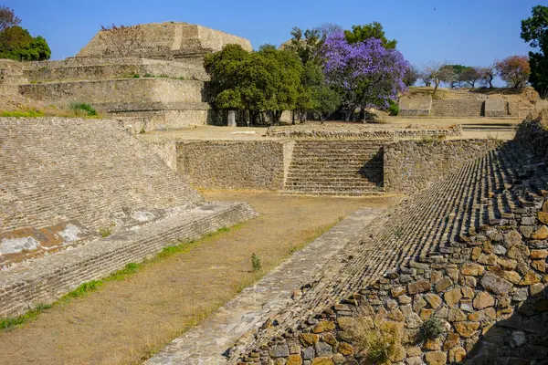 Oaxaca, Meksika - 1 Mart 2025: Monte Alban, Meksika 'nın Oaxaca eyaletinde büyük bir Kolombiya öncesi arkeoloji alanıdır..