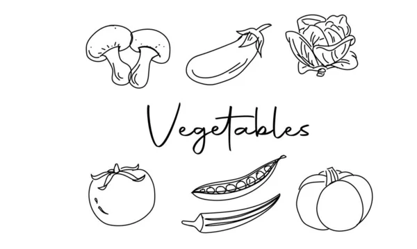 Коллекция Рисунков Овощей Овощи Такие Грибы Бриньялы Капуста Помидоры Горох — стоковый вектор