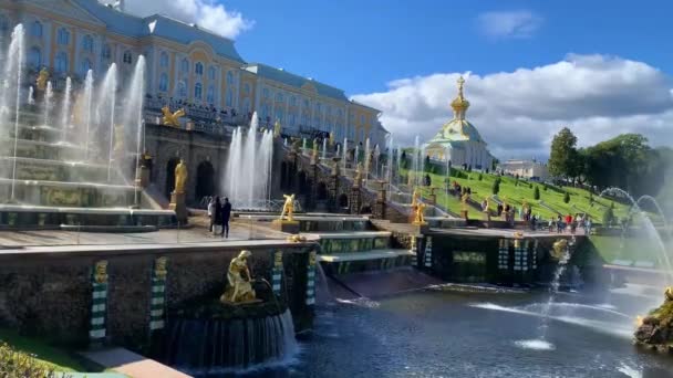 Szentpétervár Oroszország 2022 Október Petergof Grand Palace Szökőkutak Bronz Szobrok — Stock videók