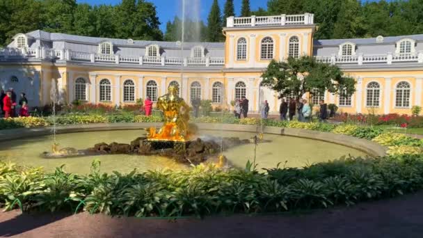 Saint Petersburg Russia October 2022 Petergof Grand Palace Fountain Many — Video