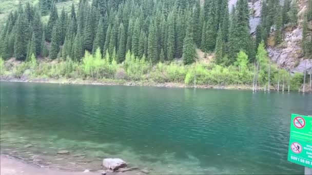 Almaty Kazakhstan Mayıs 2023 Kaindy Gölü Ladin Ormanını Batırdı Mavi — Stok video