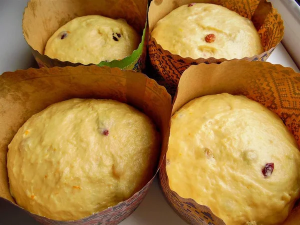 Słodkie Ciasto Ciasta Wielkanocne Ułożone Formie Przed Pieczeniem — Zdjęcie stockowe