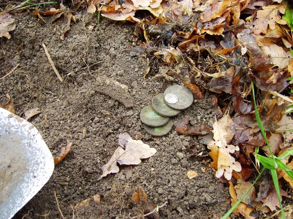 stock image Old copper and silver coins found in the forest by a treasure hunter using a metal detector