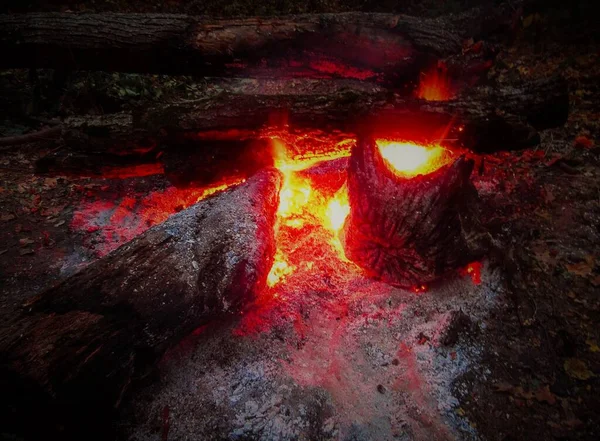 Φωτιά Από Φλεγόμενα Κούτσουρα Στο Φόντο Του Νυχτερινού Δάσους — Φωτογραφία Αρχείου