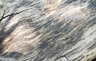 Yıpranmış ahşap kaplama dokusu