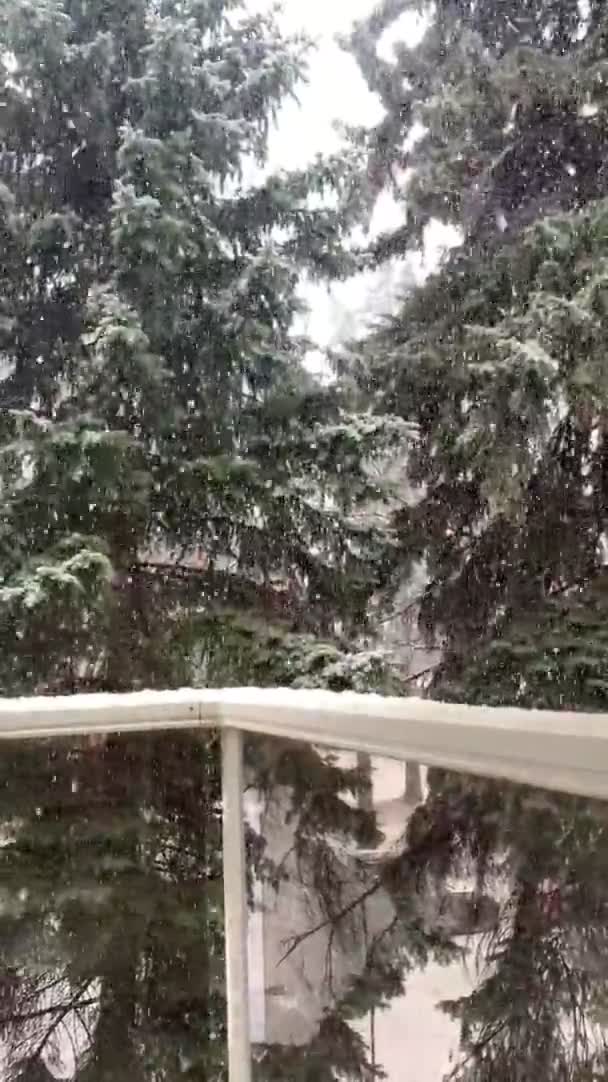 Neve Pesada Durante Inverno Visto Varanda — Vídeo de Stock