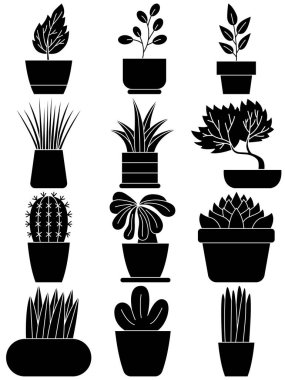 Ev bitkisi vektör kümesi, basit karikatür biçimi.
