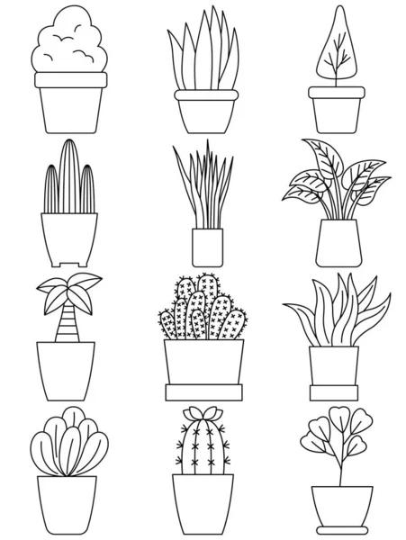 Houseplant Vettore Insieme Houseplant Semplice Stile Cartone Animato — Vettoriale Stock