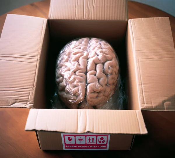 Die Bestellung Kam Ein Neues Gehirn Karton Konzeptbild Zusammenhang Mit Stockfoto
