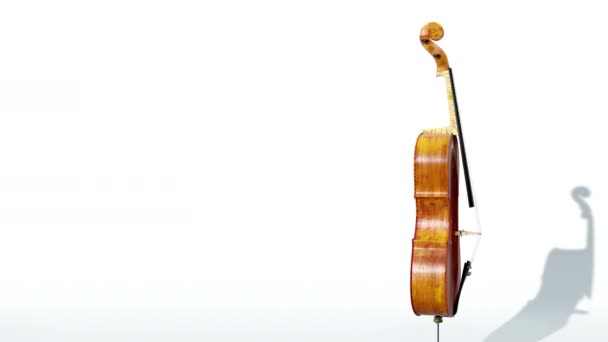 Abstract Cello Witte Achtergrond Loop — Stockvideo