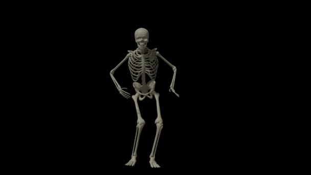 Cadılar Bayramı Skelet Dans Alfa Kanalı — Stok video