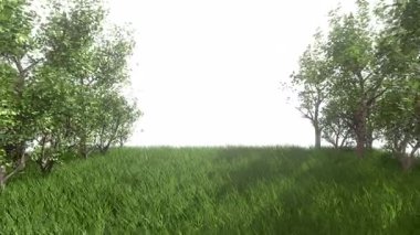 Bahçe Tüneli Arkaplan ve Döngü