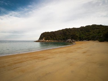 Deserted tropical pacific ocean sand beach surrounded by lush green nature in Abel Tasman National Park South Island New Zealand