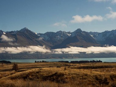 Alpine mountain landscape nature panorama of Southern Alps and Lake Pukaki with dry brown grass at Braemar Road Mackenzie County Canterbury South Island New Zealand