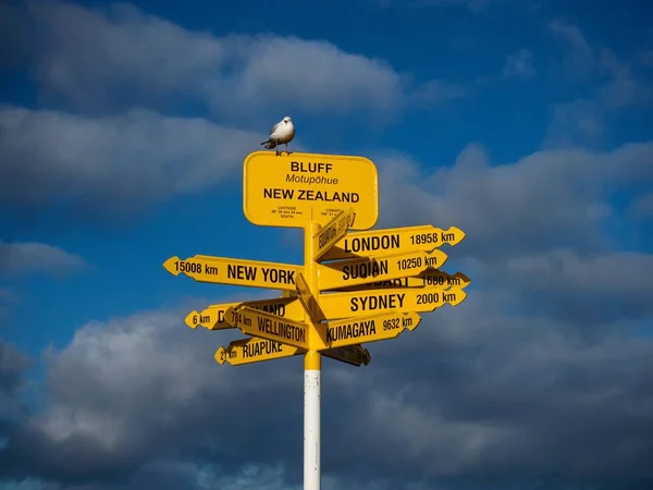 Seagull sitting on famous yellow worldwide destination distance information sign post, cloudy blue sky background at Stirling Point Bluff Invercargill Southland South Island New Zealand