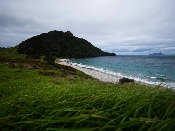 Smugglers Bay beach with lush green grass nature landscape panorama seen from Busby Head Whangarei Heads Northland North Island New Zealand