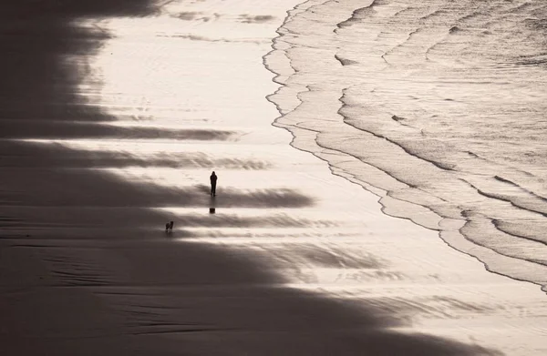 在新西兰北部卡斯尔点灯塔的湿沙滩上 一个人在远处遛狗 塞皮亚过滤器就像图像的轮廓 — 图库照片