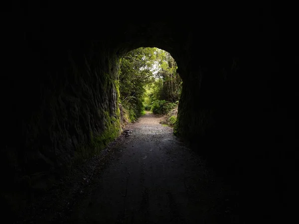 Moss Cobriu Abertura Túnel Chasm Creek Trail Track Linha Ferroviária — Fotografia de Stock