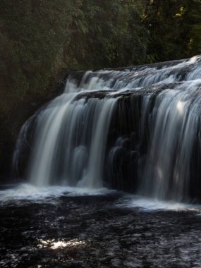 Runanga Greymouth Güney Adası Yeni Zelanda 'dan akan ipek beyaz Coal Creek Falls şelalesinin uzun pozu