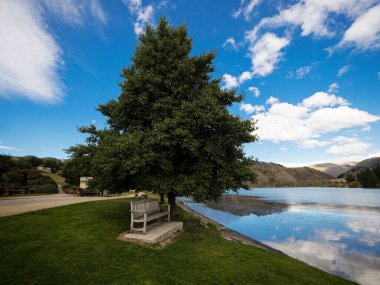 A wooden bench sitting in green grass under big green tree next to lake with mountain reflections in Cromwell Central Otago South Island New Zealand clipart