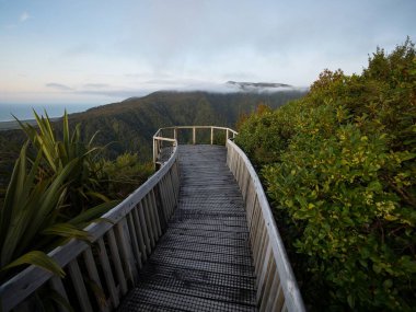Papahaua Dağları 'na bakan tahta patika yolu yemyeşil çalı bitkileri, Denniston Incline Buller Bölgesi Batı Yakası Yeni Zelanda