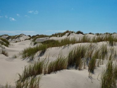 Golden Bay Tasman Güney Adası Yeni Zelanda 'daki Veda Spit Pasifik Okyanus Sahili' ndeki kum tepelerini kaplayan vahşi doğa manzarası.