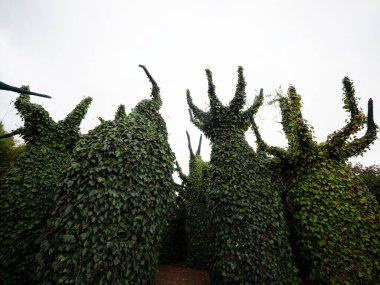 Hamilton Gardens Waikato Kuzey Adası Yeni Zelanda 'daki Sürrealist Bahçesi' nde büyük boyutta yapay ağaçlar.