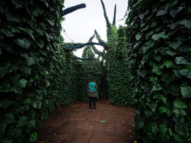 Genç bir kadın, Hamilton Gardens Waikato North Island Yeni Zelanda 'daki Sürrealist Bahçe' de devasa yeşil ağaçların arasında geziniyor.