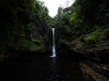 Tropikal Kaiate Şelalesi şelalesi suyu kayalıklardan aşağı düşüyor. Yeni Zelanda 'nın kuzeyindeki Waitao Papamoa Körfezi' nde sık yeşil çalı bitkisi ile birlikte.