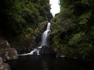 Tropikal Kaiate Şelalesi şelalesi suyu kayalıklardan aşağı düşüyor. Yeni Zelanda 'nın kuzeyindeki Waitao Papamoa Körfezi' nde sık yeşil çalı bitkisi ile birlikte.