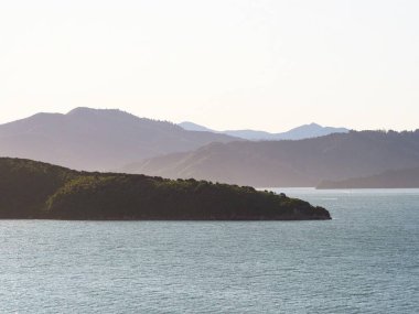 Karaka Point Waikawa Picton Marlborough Güney Adası Yeni Zelanda 'da Kraliçe Charlotte Sound yeşil tepeler orman manzarası