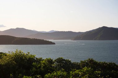 Karaka Point Waikawa Picton Marlborough Güney Adası Yeni Zelanda 'da Kraliçe Charlotte Sound yeşil tepeler orman manzarası