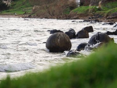 Koutu Boulders küresel yuvarlak şekilli kaya oluşumları Hokianga Limanı sahil kıyısı Opononi Northland Kuzey Yeni Zelanda 'daki beton jeolojik fenomen.